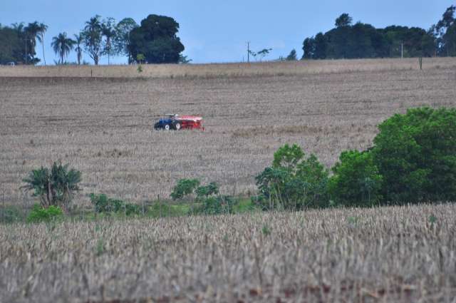 Com volta das chuvas, produtores j&aacute; plantaram 60% da soja em Dourados