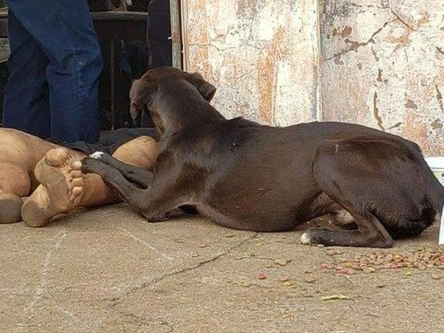 Suspeito nega, mas &eacute; preso por matar amigo com facadas no pesco&ccedil;o 