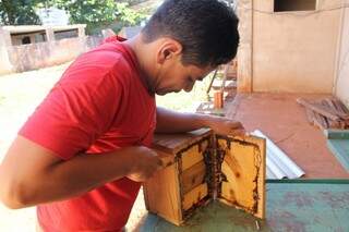 O sargento, Demavais, também tem uma criação de abelhas sem ferrão em casa. O mel delas é muito procurado para remédio. (Foto: Marcos Ermínio) 