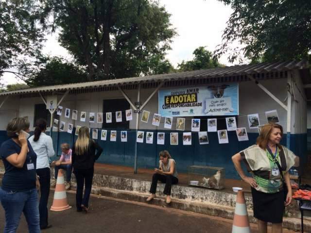 Deputado quer cremat&oacute;rio e abrigo p&uacute;blico para animais dom&eacute;sticos na Capital
