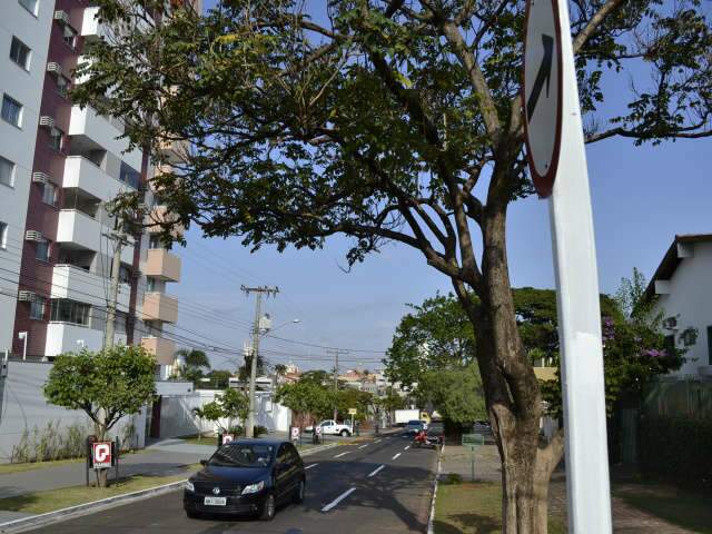  Rua da Paz ganha trecho com m&atilde;o &uacute;nica e motoristas elogiam fluidez no tr&acirc;nsito