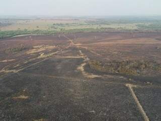 Área que foi devastada pelas chamas do incêndio. (Foto: Divulgação/PMA) 
