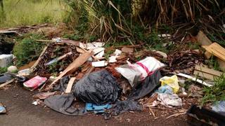 O terreno localizado na Rua Cel Miquelino Barbosa, na Vila Sobrinho tem até animais mortos. (Foto: Direto das Ruas