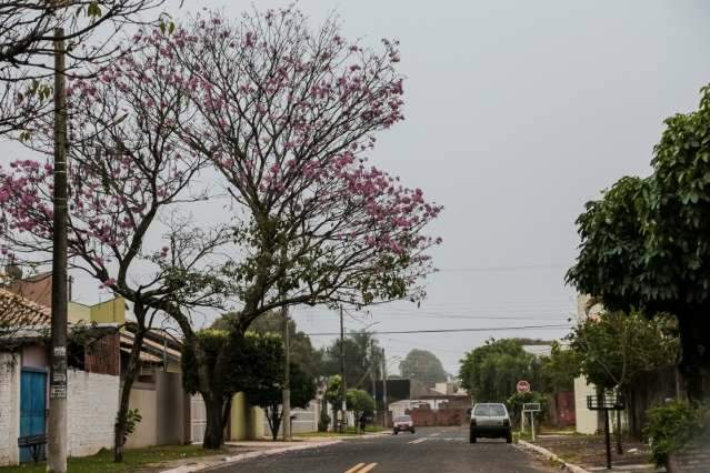 Frio ganha for&ccedil;a e regi&atilde;o sul de MS tem sensa&ccedil;&atilde;o de 6&ordm;C nesta quinta