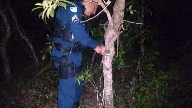 Universit&aacute;rio v&iacute;tima de sequestro rel&acirc;mpago &eacute; amarrado em &aacute;rvore por bandidos