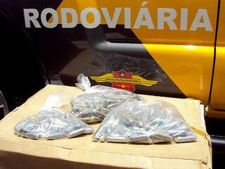 Foram apreendidos 2,891 kg de cocaína distribuída em 241 cápsulas que foram engolidas pelos acusados (Foto: Terra)