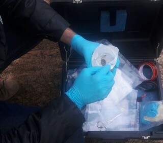 Agente da Senad faz teste químico em cocaína apreendida (Foto: Divulgação/Senad)