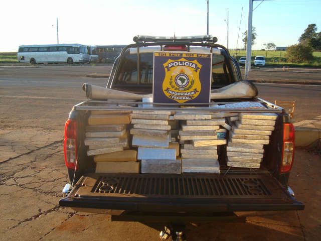  Mais de meia tonelada de maconha &eacute; apreendida em Ponta Por&atilde;