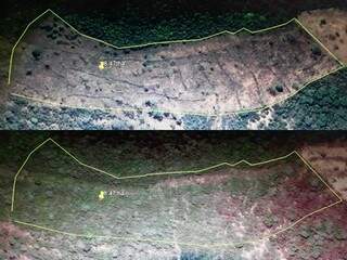 Desmatamentos ocorridos em 2016 foram identificados por imagens de satélite (Divulgação/PMA) 