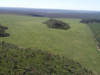 PMA usou drono para mapear a área desmatada, desde 2017 (Foto/Divulgação: PMA)