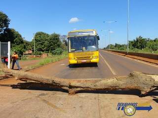 Índios colocaram tronco de árvore na pista. (Foto: