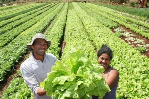 Em 7 meses, agricultores familiares já contrataram R$ 16,5 bilhões do Pronaf