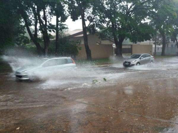 Chuvas continuam, com previs&atilde;o de temporais no s&aacute;bado em MS