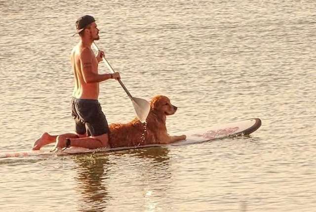 Jesse largou o emprego e vai para o Alaska ao lado do melhor amigo em um Fusca