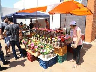 Arranjos de flores são vendidos em frente aos cemitérios de Campo Grande (Foto: Paulo Francis)