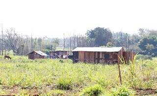 “Cidade de lona” começa a dar lugar a barracos de tábuas (Foto: Helio de Freitas)
