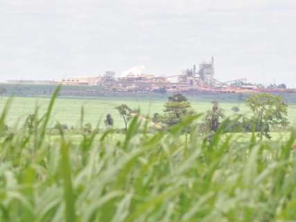 Salto na produção de etanol em MS deve chegar a 8,6 milhões de litros