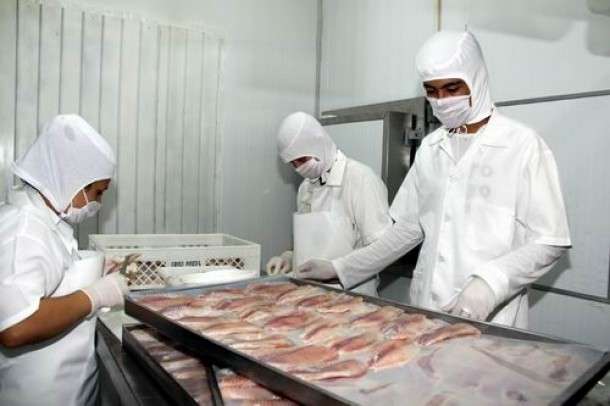 Frigor&iacute;fico de til&aacute;pia deve injetar R$ 150 milh&otilde;es e gerar 1,8 mil empregos 