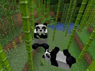 Panda é um dos novos animais inclusos na atualização do game (Foto: Reprodução/ TecMundo)