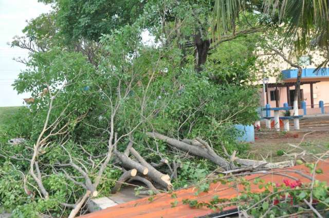 Meninos de bicicleta s&atilde;o atingidos por tornado ao deixarem escola