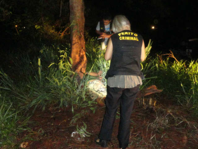 Ind&iacute;gena se abriga debaixo de &aacute;rvore para fugir de chuva e morre eletrocutado