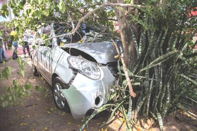 Mulher perde controle de ve&iacute;culo, atropela lixeira e se choca em &aacute;rvore