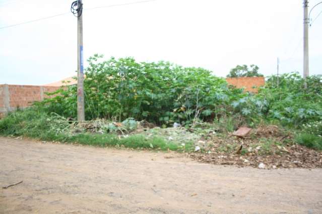 &quot;Terrenos sujos&quot; viram cen&aacute;rio e s&oacute; &quot;multa&quot; para limpar um bairro inteiro