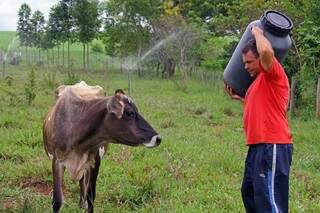 Paulo, que trabalha no campo desde criança, se esforça para produção de leite prosperar. (Foto: Marcos Ermínio)