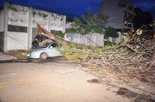 Árvore caiu sobre carro, arrancou fiação e quadra da Arthur Jorge precisou ser interditada (Foto: João Garrigó)
