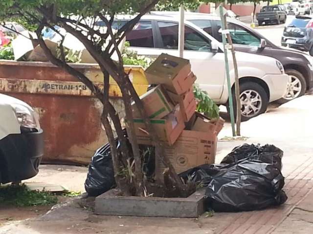 Lixo na cal&ccedil;ada atrai insetos, causa mau cheiro e incomoda vizinhan&ccedil;a