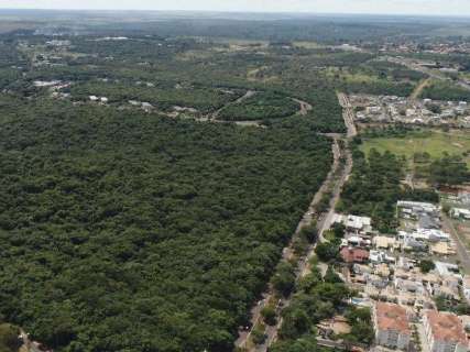 Ação na Justiça pretende impedir desmatamento no Parque dos Poderes 
