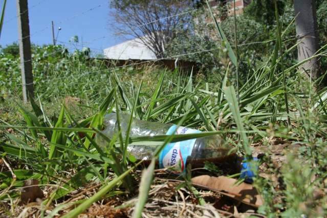 Dos 79 munic&iacute;pios, apenas 4 est&atilde;o fora do foco da epidemia de Dengue