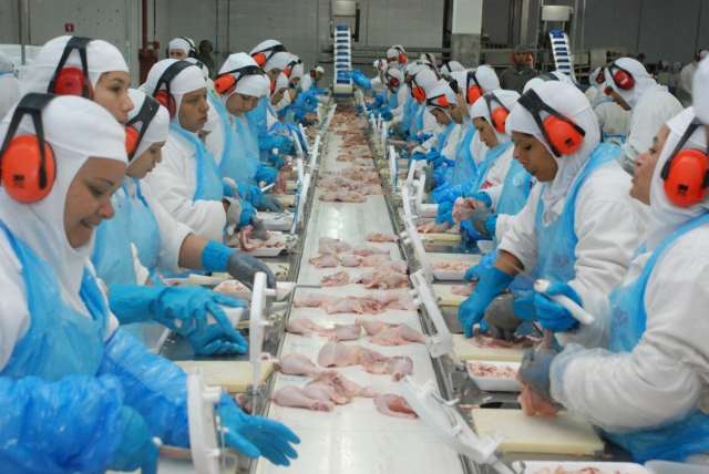 Receita de exporta&ccedil;&otilde;es da ind&uacute;stria tem queda de 35% neste ano