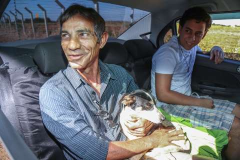 Depois de meses morando em carro do ex-dono no Detran, cachorro é adotado 