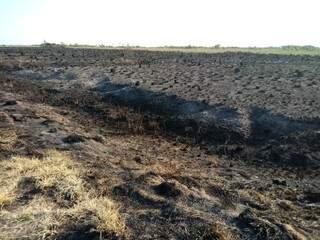 Fogo tomou grande proporção em parque estadual e já foram queimados 30 mil hectares. (Foto: Reginaldo Oliveira/ Imasul)