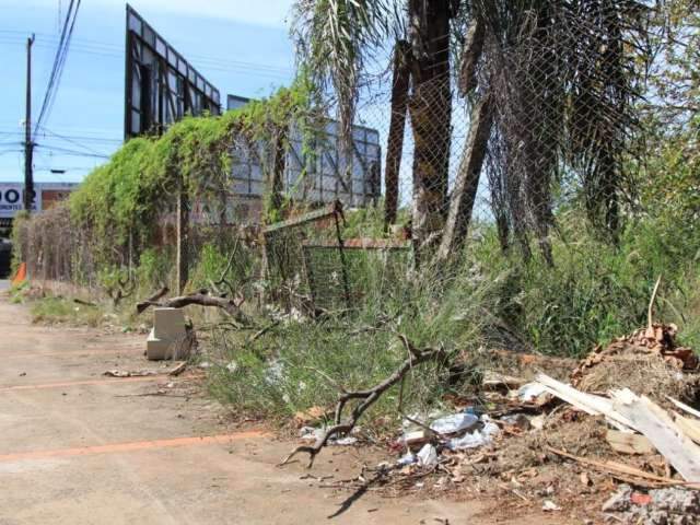 Casas abandonadas no Leblon atraem bichos e bandidos, dizem moradores