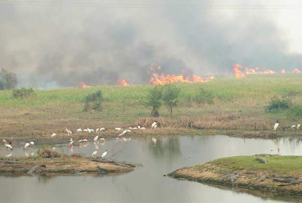  Quatro equipes combatem fogo em tr&ecirc;s pontos em Corumb&aacute;