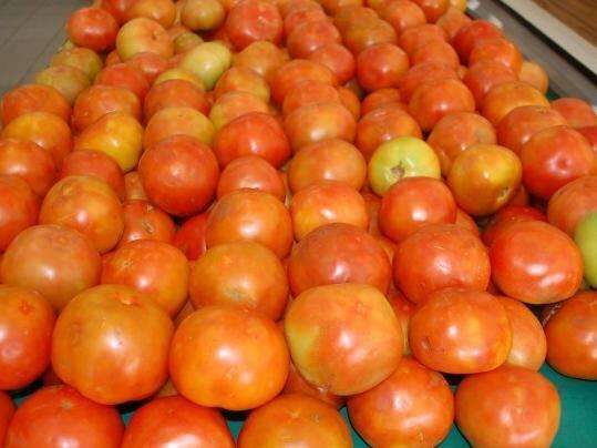 Cesta b&aacute;sica fica R$ 10 mais barata com queda no pre&ccedil;o do tomate e feij&atilde;o