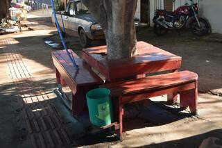 Um banco de madeira foi instalado ao redor de uma árvore (Foto: Alana Portela)