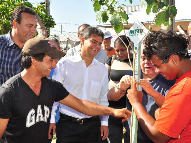  Popula&ccedil;&atilde;o destr&oacute;i 35% de todas as &aacute;rvores plantadas em Campo Grande