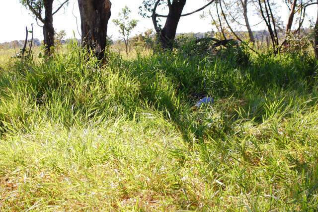  Homem encontrado morto em fazenda pode ter sido v&iacute;tima de emboscada