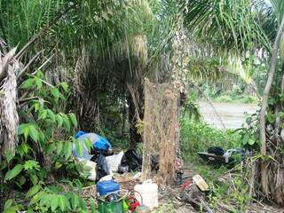 No acampamento, os pescadores deixaram para trás vários equipamentos proibidos, como redes (Foto: Divulgação)