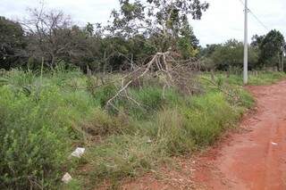 O corpo foi encontrado em um matagal no Bairro Monte Alegre (Foto: Marcos Ermínio)