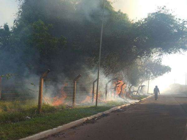 Fogo em vegeta&ccedil;&atilde;o gera fuma&ccedil;a e atrapalha vis&atilde;o de motoristas em avenida