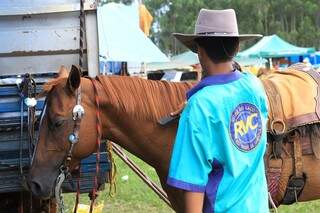 Medidas beneficiam produtores e praticantes de esportes com cavalos. (Foto: Marco Miatelo)