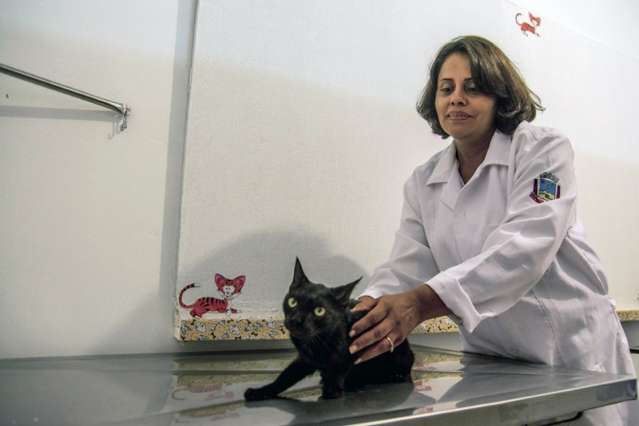 Com 500 animais na fila, castra&ccedil;&atilde;o volta a ser realizada gratuitamente