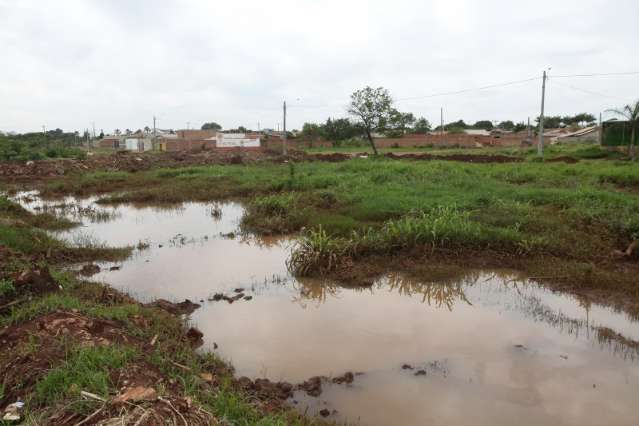 Terreno baldio vira lix&atilde;o e tem lagos de focos da dengue no Guanandi