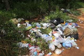 No local é descartado tanto lixo doméstico quanto lixo de empresas. (Foto: Gerson Walber)