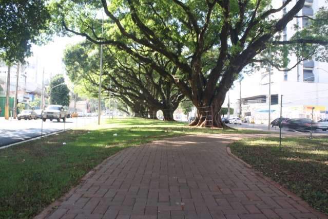 Tombamento de Canteiro Central da Av. Afonso Pena ser&aacute; homologado