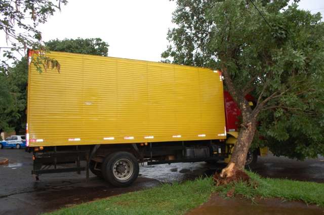 Caminh&atilde;o fica preso em &aacute;rvore e Vila C&eacute;lia fica no escuro